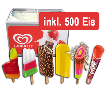 Langnese Eispaket 500 (je 500 Stück)