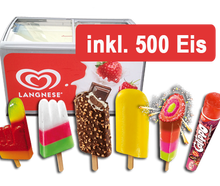 Langnese Eispaket 500 (je 500 Stück)