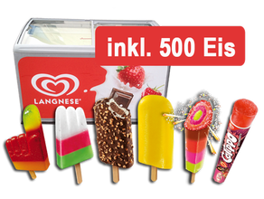 Langnese Eispaket 500 (je 500 Stück)