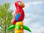 Kletterberg und Hüpfburg PIRAT mieten - Galerie - Bild 4