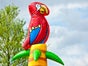 Kletterberg und Hüpfburg PIRAT mieten - Galerie - Bild 4