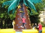 Kletterpalme / Kletterberg - NEUARTIGES SPIELKONZEPT inkl. 19% MwSt. - Galerie - Bild 3