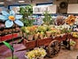 Obst Handwagen Wagen - Galerie - Bild 4