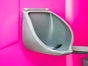 Wölkchen "Die frische Toilette" | Toilettenkabine | mobile Toilette | Miet-WC | inkl. Lieferung, wöchentlichen Service und Abholung - Galerie - Bild 3