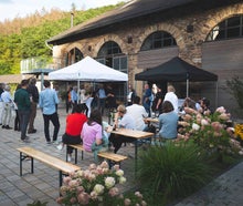 Zeltpavillon 3x3 m ohne Seitenwände mit Gewichten (nicht als Grillzelt zu verwenden!)
