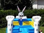 Hüpfburg für Kindergeburtstag während Corona 25% Nachlass - Galerie - Bild 4