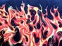Bühnenbild - Feuer und Flammen - Galerie - Bild 2
