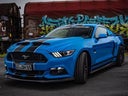 Ford Mustang, Shelby-Bodykit, V8, 442 PS, US-CAR - Galerie - Bild 1