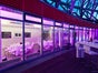 PS-ZWO - Galerie - Bild 3