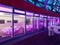 PS-ZWO - Galerie - Bild 3