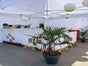 Mobile Cocktailbar Premium - Galerie - Bild 3