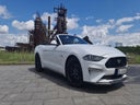 Ford Mustang GT 5.0 V8 Cabrio - Galerie - Bild 1