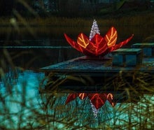 Lichterzauber - Erlebnis Beleuchtung - Illuminations Event - Licht Show -Die Stadt leuchtet