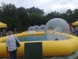 Wasserlaufbälle inkl. Pool mieten - Galerie - Bild 2