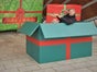 Fotopoint Geschenk - XXL Weihnachtsgeschenk - Galerie - Bild 2