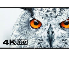 NEC MultiSync X841UHD 4K Bildschirm inkl. Audipack Stativ im Transportcase