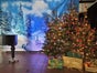 Weihnachtsbaum schmücken mit echten Bäumen - Galerie - Bild 3