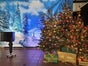 Weihnachtsbaum schmücken mit echten Bäumen - Galerie - Bild 3
