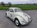 VW Käfer 1963 Kultauto zum selber fahren