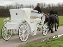 2-spännige Hochzeitskutsche