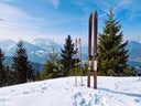 Alte Ski