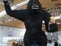King Kong Figur, Affe, Hollywood, Film, Gozilla - Galerie - Bild 3