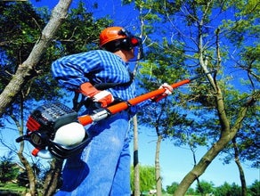 Astsäge 30 cm Schwertlänge, bis 5 m Arbeitshöhe, Benzingemisch