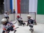 250 qm mobile Eisfläche, Eishockeyfläche, Kunsteisbahn, Kunststoffeisbahn mieten - Galerie - Bild 2