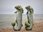 Unterwasser, Fische, Meerestiere, - Galerie - Bild 3