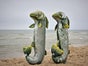 Unterwasser, Fische, Meerestiere, - Galerie - Bild 3