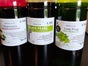 Slush Maschine mit 5,8 L Tank - Galerie - Bild 4