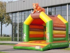Hüpfburg 5 x 5,5m