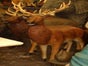 Hirsch Figur, Tier, Wildtier, Wald - Galerie - Bild 2