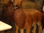 Hirsch Figur, Tier, Wildtier, Wald - Galerie - Bild 2