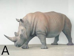 Nashorn Figur, Nashornbaby, Tier, Wildtier, Jungtier, Afrika, Savanne
