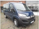 Citroen Jumper 9-Sitzer - Galerie - Bild 1