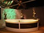 Rundbar - Galerie - Bild 2