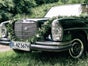 Oldtimer Mercedes Benz 250S Hochzeitsfahrzeug inkl. Chauffeur - Galerie - Bild 2