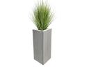 Grasbusch ø 45cm - Galerie - Bild 1