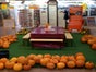 Halloween Kürbisse schnitzen inkl. 19% MwSt. - Galerie - Bild 2