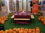 Halloween Kürbisse schnitzen inkl. 19% MwSt. - Galerie - Bild 2