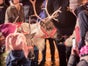 Weihnachtsmann mit echten Rentieren - Galerie - Bild 2