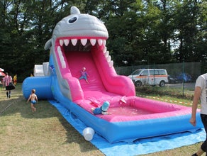 Wasserrutsche Haifisch