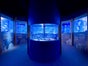 AquaDom & SEA LIFE Berlin - Galerie - Bild 2