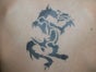Airbrush Tattoos / Fake Tattoos inkl. 19% MwSt. - Galerie - Bild 3