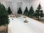 Mobile Premium Eisstockbahn - Eisstockschießen - Curlingbahn - Latterspiel für indoor und outdoor geeignet deutschlandweiter Versand - Galerie - Bild 4
