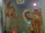 TWALL / T-WALL / REAKTIONSWAND - PREMIUM VERSION MIT DISPLAY-AUFSATZ - Galerie - Bild 3