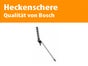 Baum Kettensäge - Galerie - Bild 3