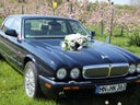 Jaguar XJ8 Sovereign - Galerie - Bild 1