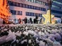 Schneemaschine Kunstschnee Schneekanone Eurloite Snow 5001 Schnee Maschine - Galerie - Bild 2